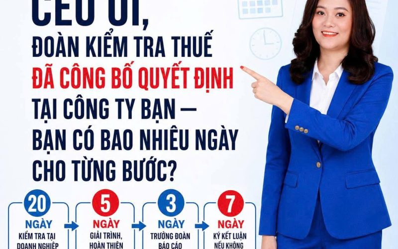 Infographic MinhHaiTax: mốc thời gian kiểm tra thuế tại trụ sở doanh nghiệp – 20 ngày kiểm tra, 5 ngày giải trình, 3 ngày báo cáo, 7 ngày ký kết luận; giao dịch liên kết tối đa 40 ngày